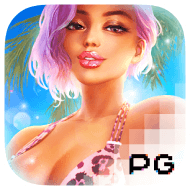 Bikini Paradise Bikini Paradise